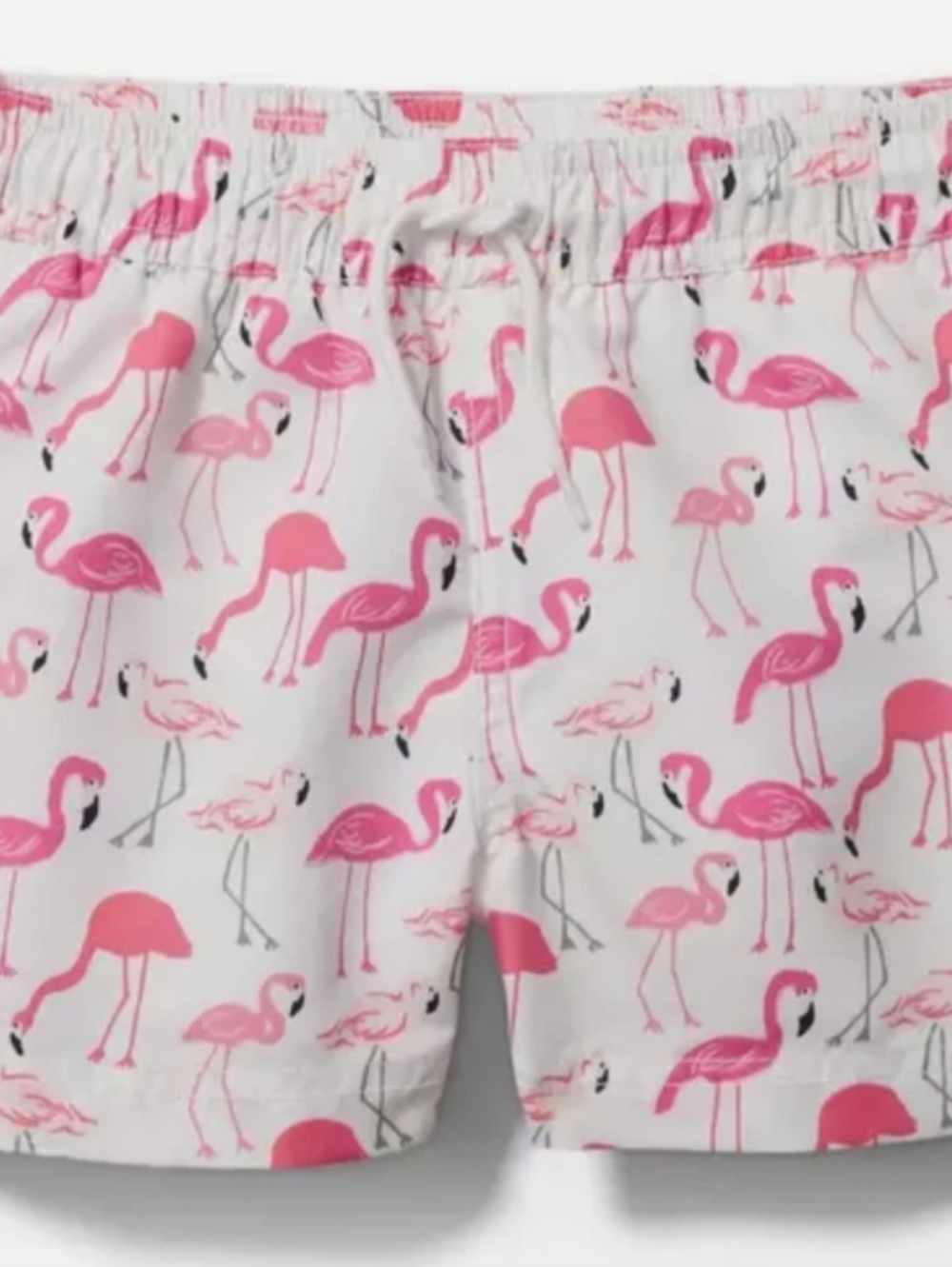 Boys Janie and Jack Swim Trucks Bathing Suit Flamingos 10
